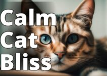 Unlock The Calming Power: Cbd Oil Benefits For Anxiety In Cats