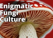 Amanita Muscaria Culture: Unveiling The Secrets Of Cultivation And Cultural Significance