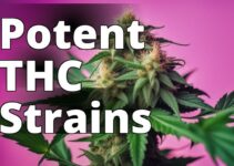 The Ultimate Handbook To Delta 9 Thc Strains: Everything You Need To Know