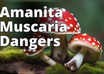 Fly Agaric Mushrooms: The Dark Side Of Amanita Muscaria Risks Exposed