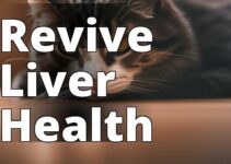 Unlocking The Potential: How Cbd Oil Boosts Liver Health In Cats