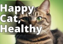 The Power Of Cbd Oil For Cats’ Digestive Health: A Game-Changer