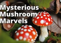 The Ultimate Guide To Amanita Muscaria: Reviews, Experiences, And Precautions