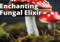 Amanita Muscaria Extract: Unveiling The Neuroprotective Secrets And Beyond