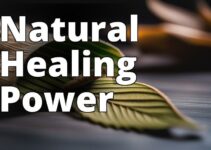 The Power Of Kratom: Unlocking The Secrets Of Herbal Remedies
