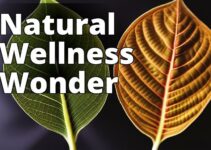 Kratom And Holistic Healing: A Comprehensive Guide To Unlocking Natural Health And Wellbeing