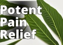 Discover The Secret To Effective Pain Relief With Kratom