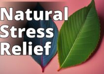 Discover The Ultimate Stress Relief With Kratom: A Complete Guide