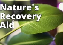 The Kratom Solution: Overcoming Substance Abuse With Nature’S Aid