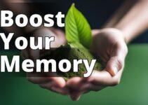 Maximizing Mental Performance: The Power Of Kratom For Memory Improvement