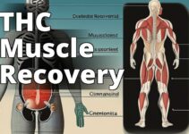 Unlocking The Power Of Delta 9 Thc For Muscle Recovery